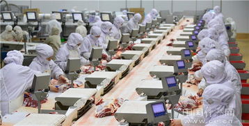 通遼 打造世界最大牛肉中央廚房的投資管理之路