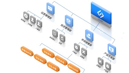 優(yōu)化投資管理 構(gòu)建高效公司架構(gòu)的關(guān)鍵策略