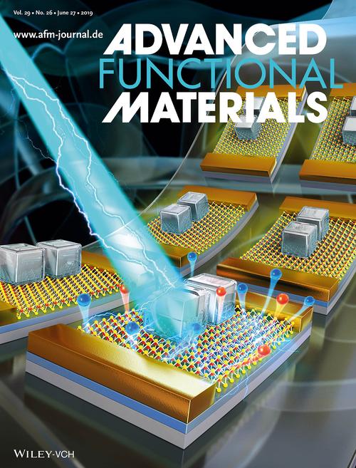 sci繪圖論文配圖3d科研繪圖學術期刊封面設計醫學插畫
