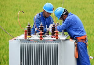 紹興嵊州供電公司 精品臺區(qū) 可靠電網(wǎng)護(hù)航美麗 越劇原鄉(xiāng) 建設(shè)