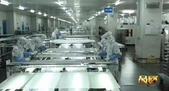 品質(zhì) 欄目無(wú)錫尚德 我與太陽(yáng)有個(gè)約定