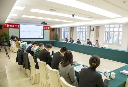 盤古智庫與國網黨校 國網領導科學研究院 聯(lián)合舉辦新型電力系統(tǒng)構建研討會