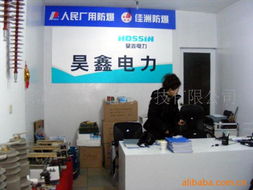 jdzx9 20電壓互感器